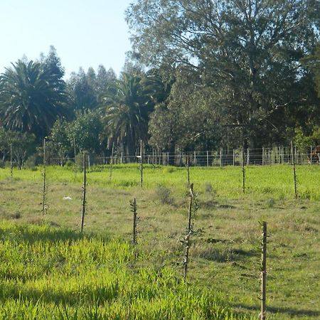 Casa De Campo Lo De Fatsia Colónia do Sacramento Quarto foto