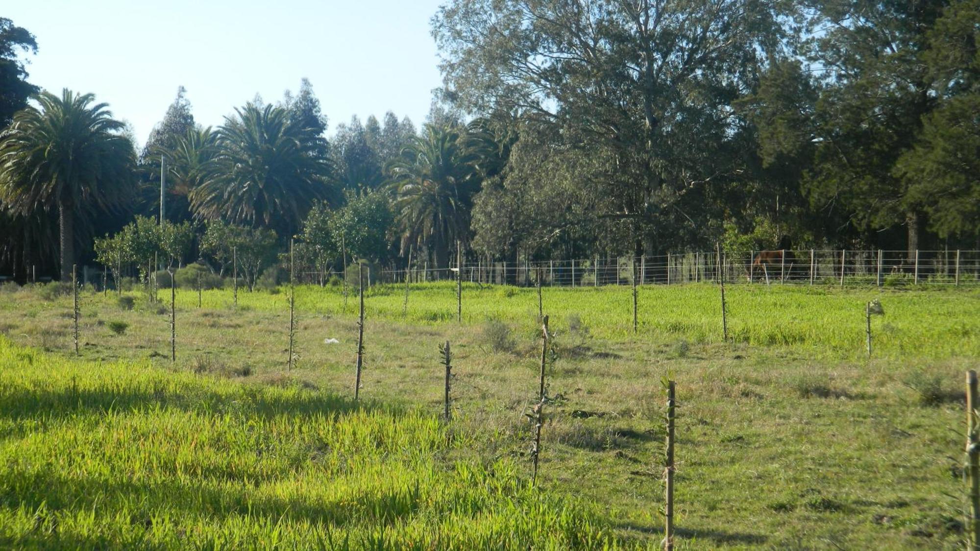Casa De Campo Lo De Fatsia Colónia do Sacramento Quarto foto